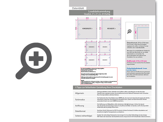 Product Bild loseblattsammlung_21_0_cm_x_21_0_cm__556_bl__tter_pro_sammlung__vorne_und_hinten_farbig_(4_4)